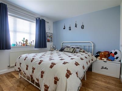 Picture 11